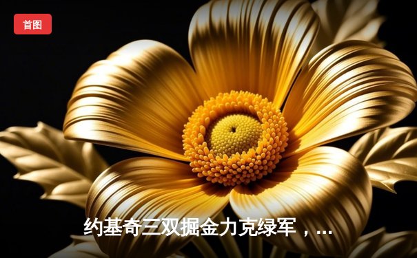 约基奇三双掘金力克绿军，东西部榜首大战尽显冠军底蕴